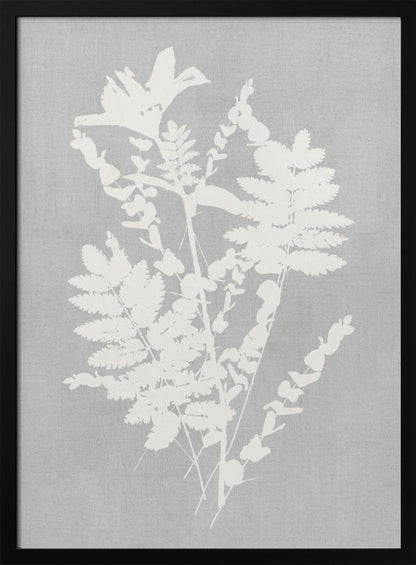 Wall art Botanical Illustration 5