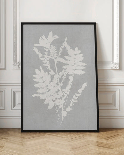 Wall art Botanical Illustration 5