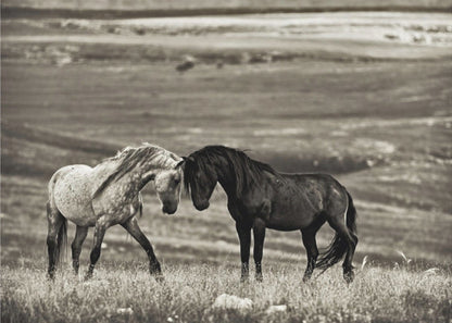 Wall art close encounter